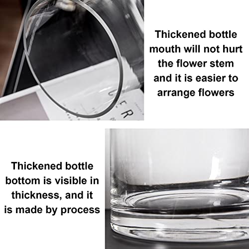 TSKDKIT Glass Vase for Flowers 20cm Glass Cylinder Vase Clear Vases for Living Room Modern Medium Vases 20 x 10cm - Image 5