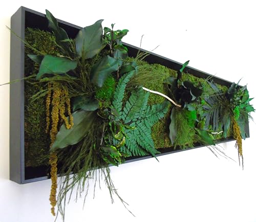 Tableau Végétal Stabilisé RIO sans entretien - Décoration murale d'intérieur avec Plantes et Fleurs Éternelles - Fabriqué en France