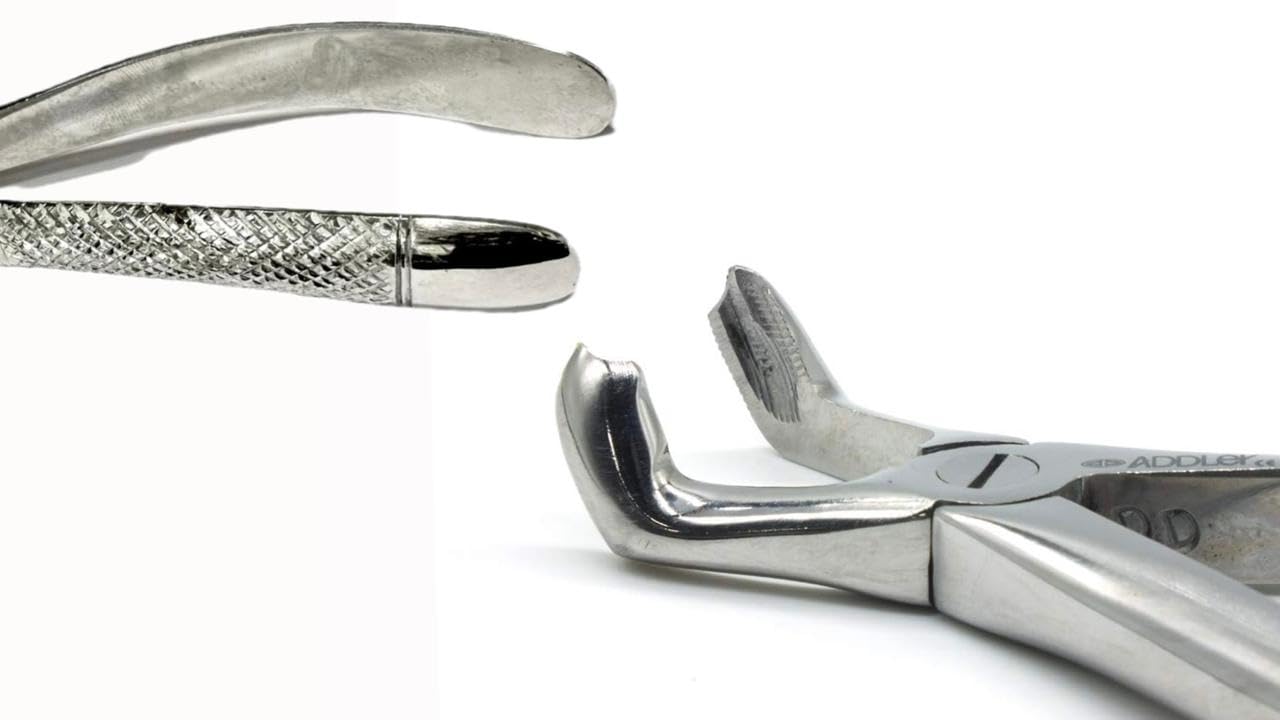 ADDLER DENTAL FORCEP LOWER THIRD MOLAR. SERRATED HANDLE NO GRAIN GOLD 79. LIFE TIME ANTI RUSTING WARRANTY. (B08P8K8GRS) Amazon Price History, Amazon Price Tracker