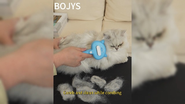 Katzen-Dampfbürste 4-in-1 – Mit Sprühfunktion, Massage & Selbstreinigungsmodus, Rosa