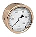 NOSHOK 300 Series Brass Liquid Filled Dial Indicating Pressure Gauge with Back Mount, 2-1/2
