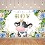 It’s a Boy-9