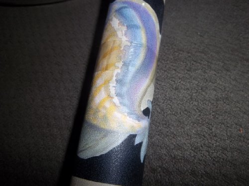 Wallpaper Border Seashell Theme #TOP23