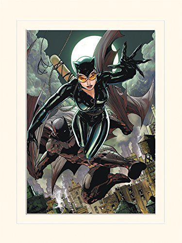 Pyramid International Batman Cat & Bat Mounted Print Memorabilia, Multi-Colour, 30 x 40 x 1.3 cm