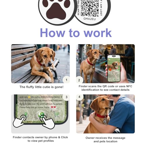Médaille à code QR pour chat avec alerte de localisation et contacts multiples