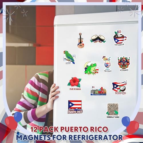 Imanes decorativos de Puerto Rico 12 unidades pack miniatura 3