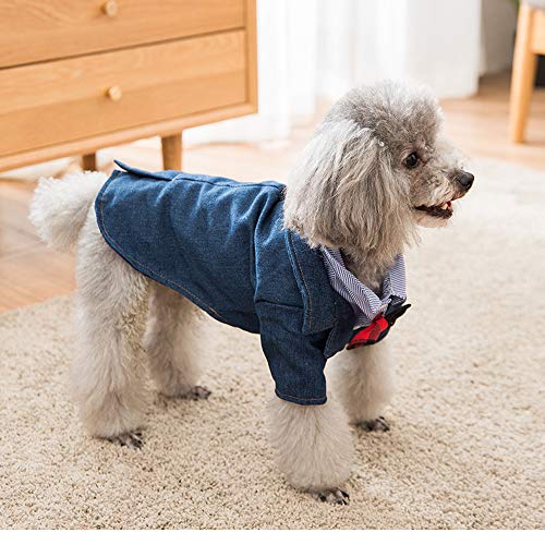 最安値｜Botocoo 猫 コスプレペット服犬用 冬犬冬犬服 猫服 デニム生地 
