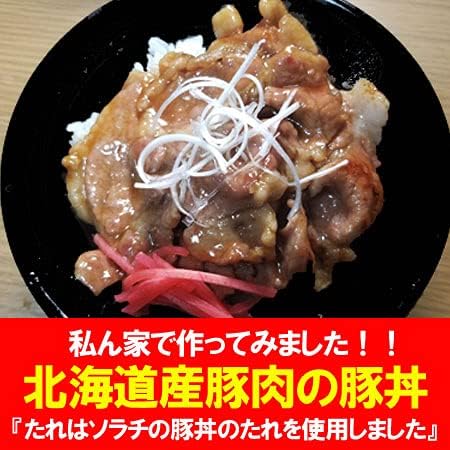 十勝 豚丼 たれ 付 ぶたどん 北海道産 豚肉 500g&times;2パック・ソラチ 豚丼のたれ セット ブタ丼