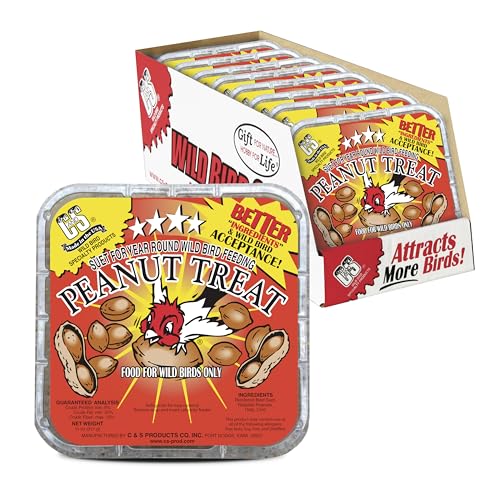 C&S Peanut Suet Treat Suet Cakes for Wild Birds Including Nuthatches Woodpeckers and Chickadees Pack of 8