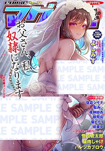 コミックマグナム Vol