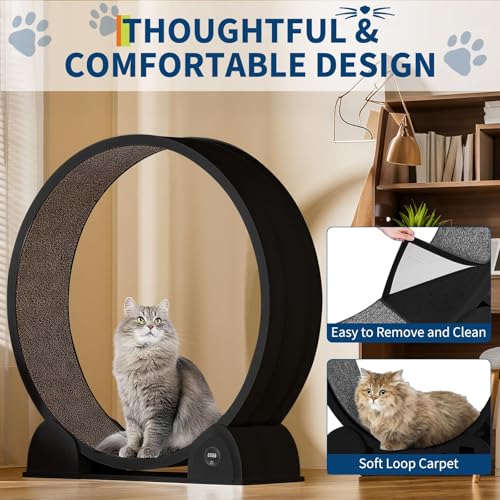 Rueda de ejercicio para gatos de madera natural extra grande y diseño silencioso premium 7