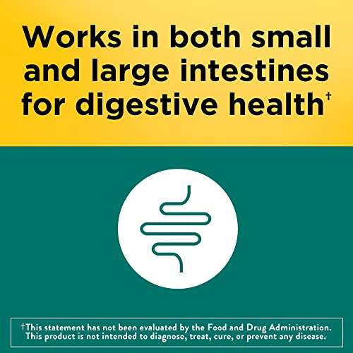 Nature Made Digestive Probiotics Advanced Dual Action, Probiotics for Women and Men, 30 Probiotic Capsules, 30 Day Supply - Image 4