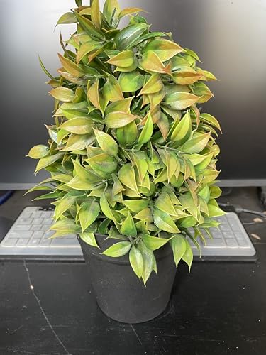 Image of Artificial Realistic Brown Leaves Bonsai Potted Plant for Home Office Kitchen Living Room Hotel Restorent Table Corner Center Piece | Natural Look | Show Piece | 36 cm