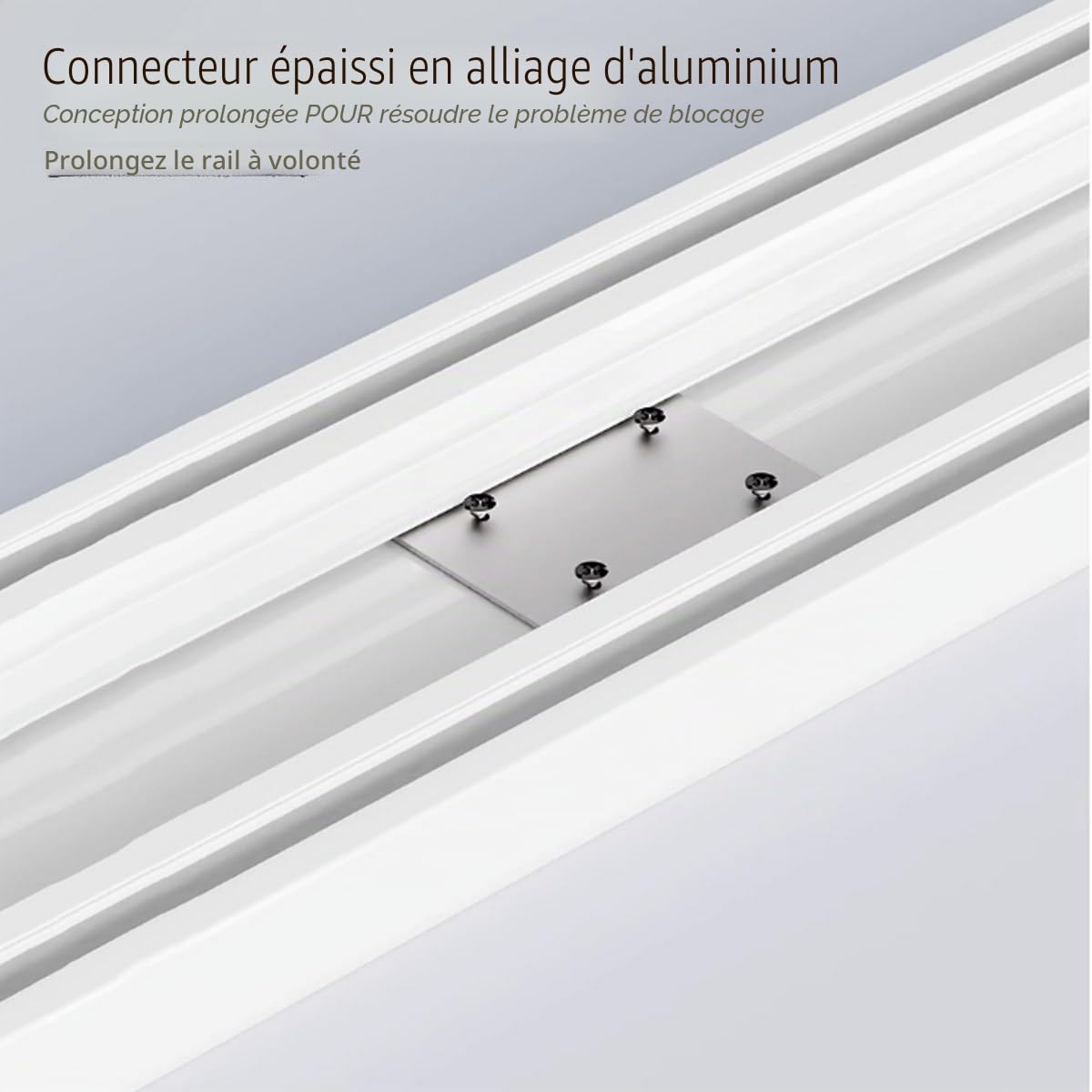 Double Rails De Rideaux Rideau Rai Plafond, Rail De Rideau En Aluminium Silencieux Et Résistant Rail Rideaux Avec Poulies À Lame D'acier Et Vis De Montage(Noir,300cm)
