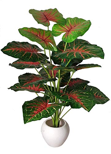 Image of Big Areca Palm Money Plant Tree with 18 Long Leaves Bonsai Artificial Plant with Pot (70 cm, Red, 1 Piece)