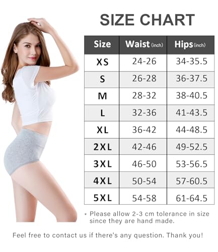 Image of wirarpa Women's Modal Underwear Soft High Waist Briefs Ladies Panties 4 Pack (Regular & Plus Size)