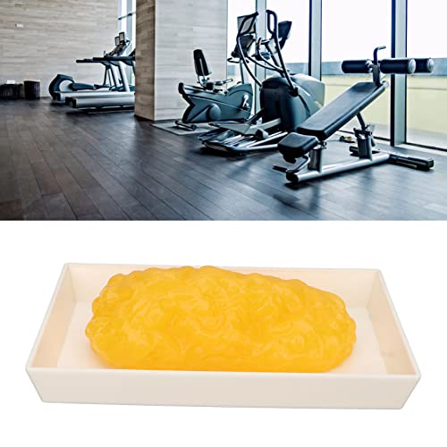Image of Fat Replica 1lb,Human Body Fat Replica Fat Model,Human Fatty Tissue Demonstration Model for Nutritionist Science Course,Accurate Feel and Appearance of 1 Pound of Fat
