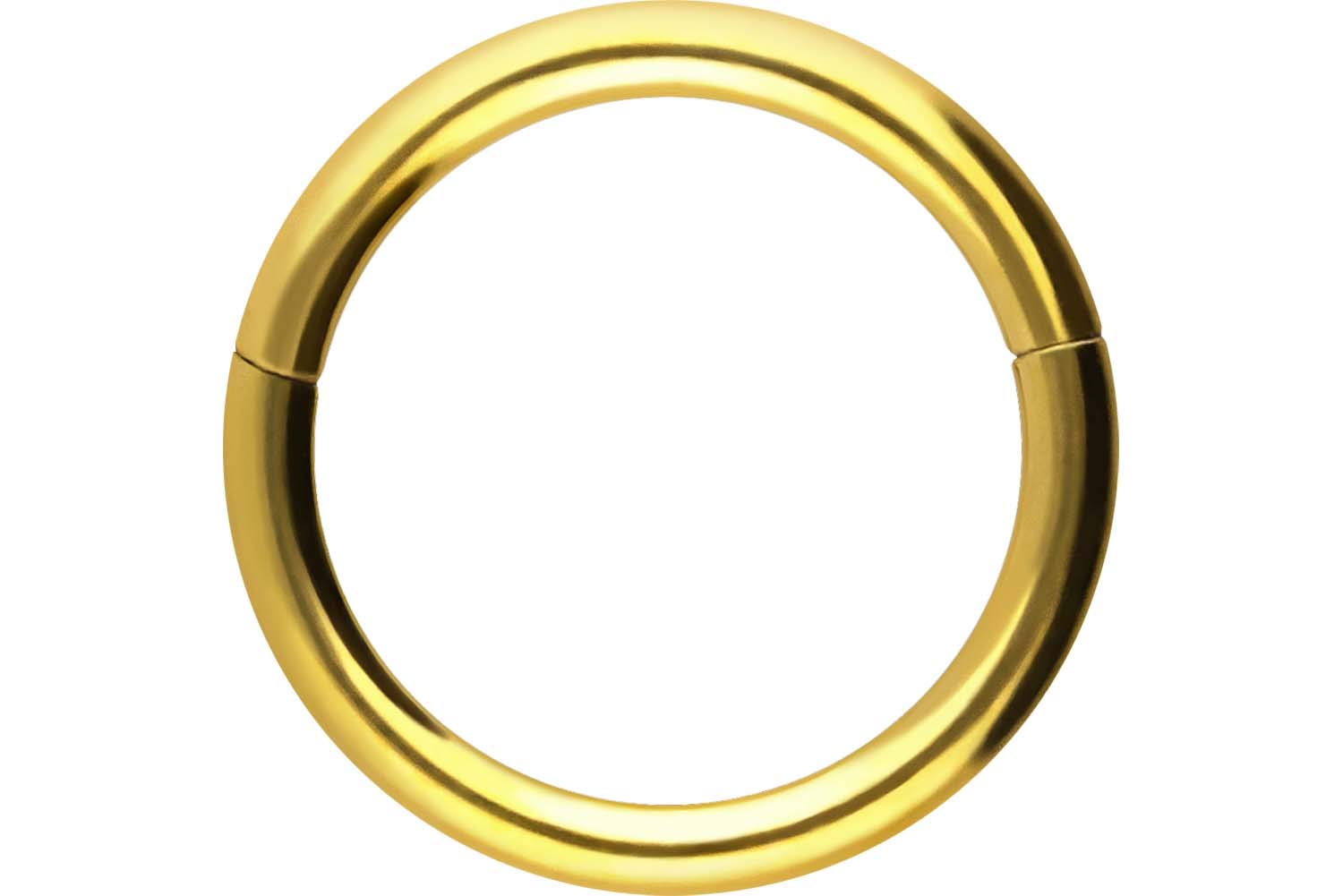 PIERCINGLINE Anillo segmento Clicker de acero quirúrgico – Piercing en oro, plata, rosa, negro o azul – para nariz, tabique, oreja, hélice o tragus — view 94