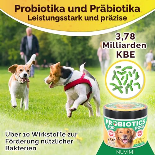 NUVIMI Probiotika für Hunde – 120 Probiotika- und Präbiotika-Tabletten für Hunde mit Hühnergeschmack – Stärkung des Immunsystems und Unterstützung der Verdauung – Vorrat für 1–4 Monate