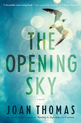 The Opening Sky view 2