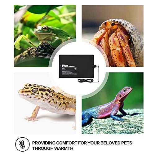 Ipower PTHTPDL-A 8 By 12-Inch Reptile Heat Mat Under Tank Heater Terrarium Heating Pad Ideal thumb #6