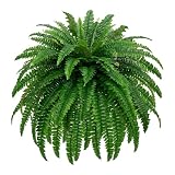 GYERB 48 inch Artificial Boston Fern