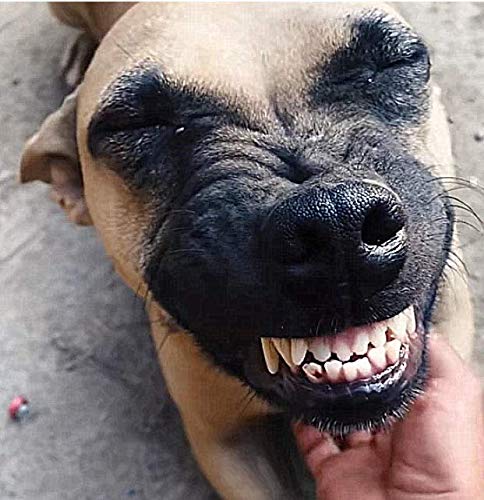 Sẹxy dsfsdferwerwersdfsdfsdffghfgdffgdsdffsdfwerwerdsfdfgdfgretewrewr