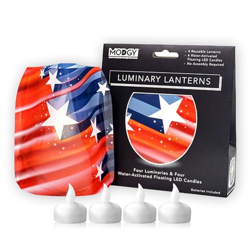 MODGY Luminary Lanterns Candle Holder Decorative Indoor Outdoor Decor, Plastic Candle Lantern Lamps for Wedding Table Centerpiece Porch 4-Pack, with Flameless Floating LED Candles