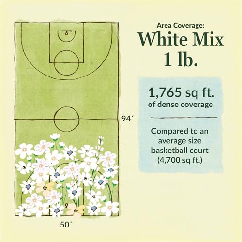 Image of Ferry-Morse White Bulk Wildflower Seeds, 290,000+, 1 lb