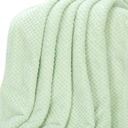 Image of Warm Soft Fuzzy Dog or Cat Blanket, Plush Fleece Throws for Puppy, Kitten, Medium, Large Dogs - Mint (40 inch x 48 inch)