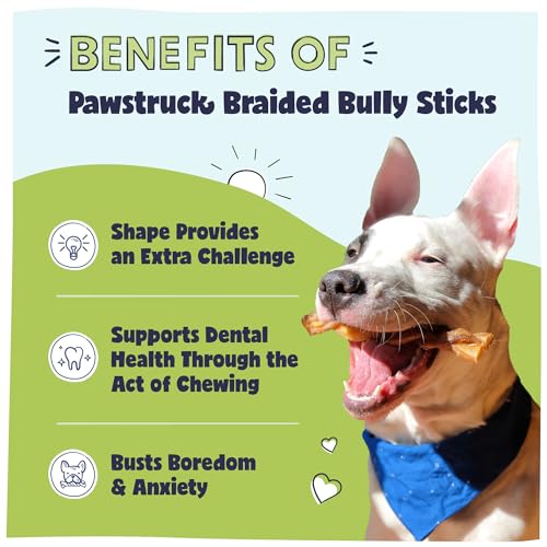 image for Pawstruck Natural 5” Braided Bully Sticks for Dogs, Tough Long-Lasti