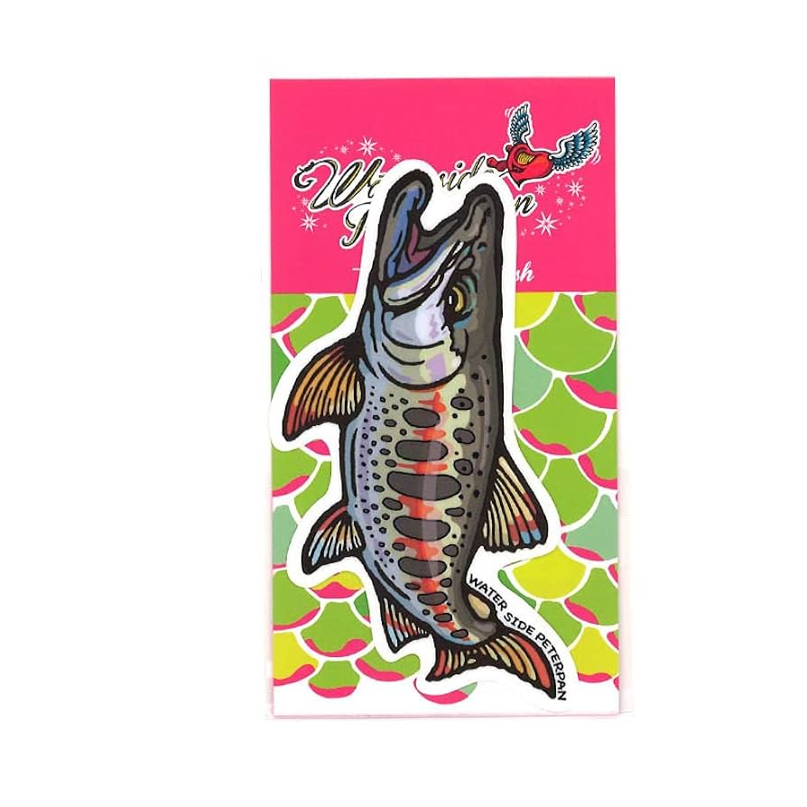 【非売品】外道 /ベスト外道 (CD＋ビデオ＋パンフレット＋ステッカー＋資料付) Amazon.co.jp: ウォーターサイドピーターパン オリジナル