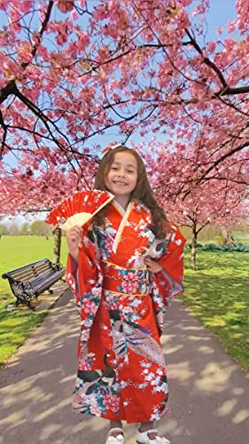 CRB Womens Girls Kimono Japanese Asian Top Dress Robe Sash Belt Fan Set Outfit4