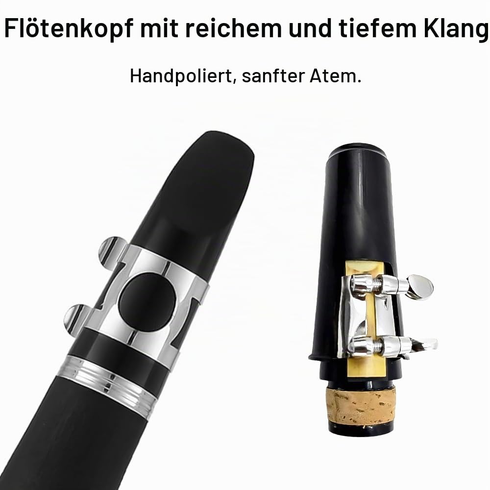 Professioneller Klarinettenkörper aus Palisanderholz, versilbert, Schlüssel B-Tasten 17 Bb Schlüssel, zwei Fässer, Hartschalenkoffer, weiße Handschuhe (Palisander) (Ebonite material)