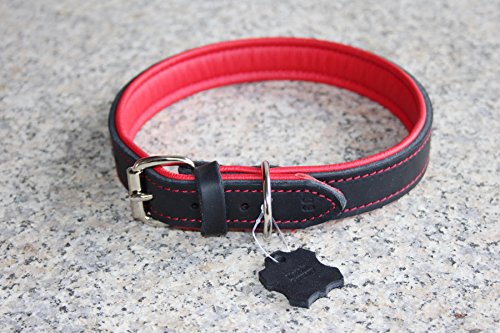 Activity4Dogs Luxus Hundehalsband aus Leder | für (mittel) große Hunde | 3 cm breit | gepolstert | 5-Fach verstellbar | Made in Germany | Echt-Leder Größe L schwarz-rot