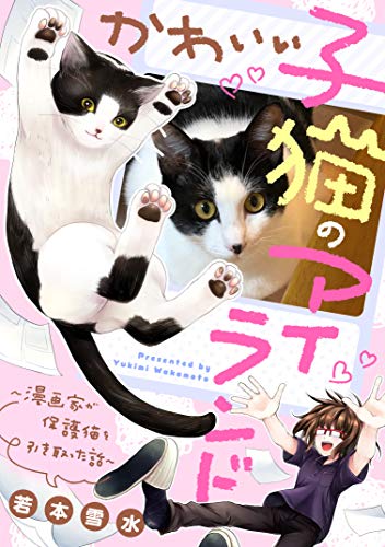 『かわいい子猫のアイランド～漫画家が保護猫を引き取った話～』