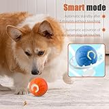 Electric Interactive Dog Toy Ball, Automatic Active Rolling Balls for Small Medium Dogs, Self Moving Bouncing Jumping Rechargeable Funny Pet Toys for Boredom Puppy Cat Kitten Indoor Outdoor (Orange) - Image 4