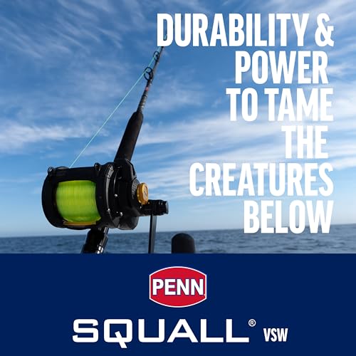 PENN Squall II Lever Drag 2 Speed Conventional Fishing Reel