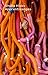 Sheila Hicks: Apprentissages