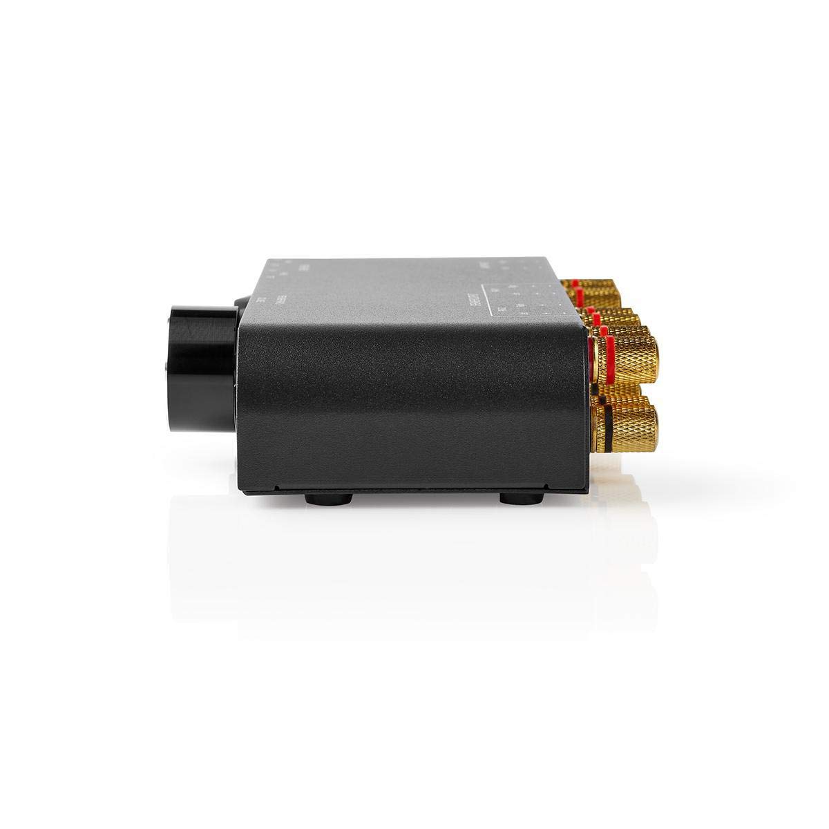 Nedis Scatola di Controllo per Altoparlanti, Commutazione tra 2 Coppie di Altoparlanti o Riproduzione Simultanea, 2 Interruttori a Bilanciere Separati, 1 Controllo del Volume, 4-16 Ohm, 60 W, Nero