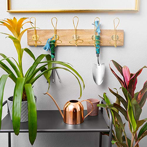Homarden 30oz Metal Indoor Outdoor Plant Watering Can for House Plants (Copper Color)