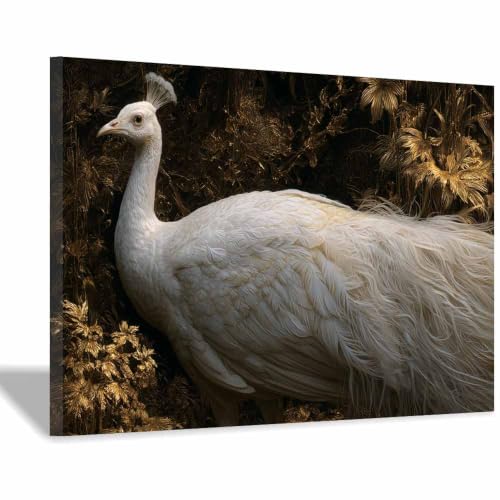 Toile animaux paon blanc PUQAAEO pour habiller un mur vide avec un cadre en bois élégant
