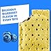 Pop-Tarts Toaster Pastries, Breakfast Food and Kids Snacks, Unfrosted Blueberry, 10.15lb Case (96 Count)