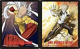 Poster 3D con cornice "One Punch Man - Saitama and Genos", 20 x 25 cm