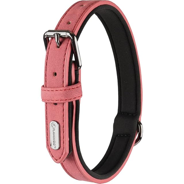 Flamingo Collar DELU Rojo M 36/44CM 20MM