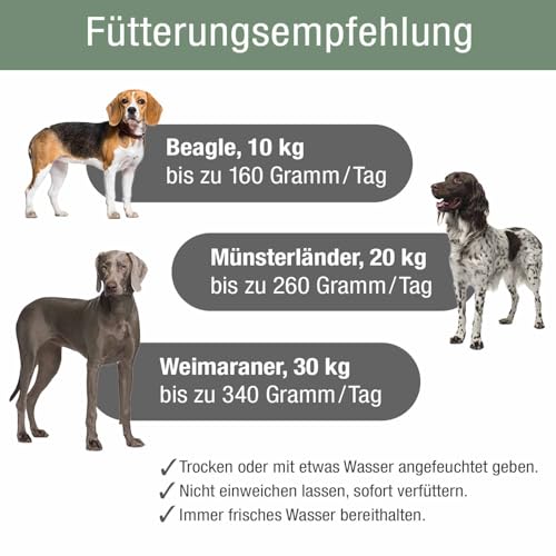 PLATINUM - Hundenahrung Adult Iberico aus Fleischsaftgarung - 5kg Hundefutter trocken aus Iberischem Schweinefleisch - besonders schmackhaftes Hundetrockenfutter für alle Hunderassen - in DE geprüft