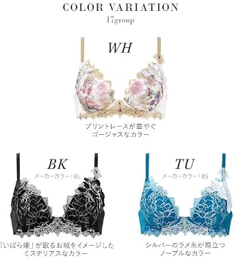 サルート 17 WH E65 VIVALINEブラ&ソング(1枚) 新品 タグ付 Amazon | ワコール サルート 17グループ 17G VIVA LINE ブラジャー DEF