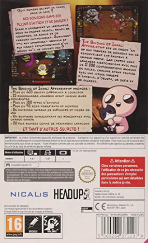 The Binding of Isaac: Afterbirth +