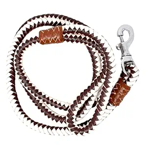 PUPPY NEST Braided Browen and White Leather Rope Dog Leash