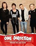 One Direction: Where We Are Now